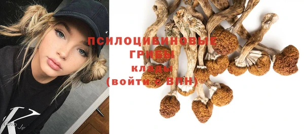 а пвп мука Армянск