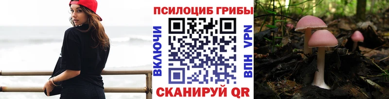 закладка  omg сайт  Галлюциногенные грибы мицелий  Мурманск 